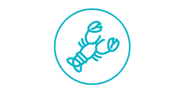 Diversified Seafood Buyers and Processors